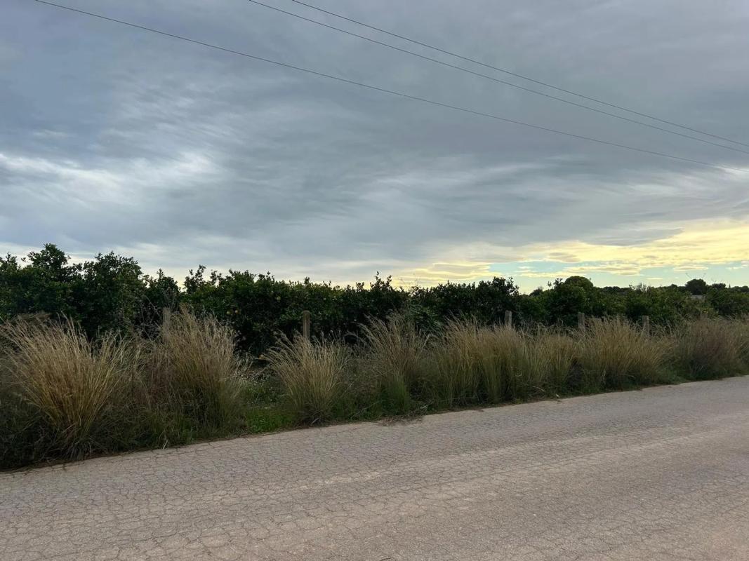 Terreno en venta en Bétera, Valencia photo 3