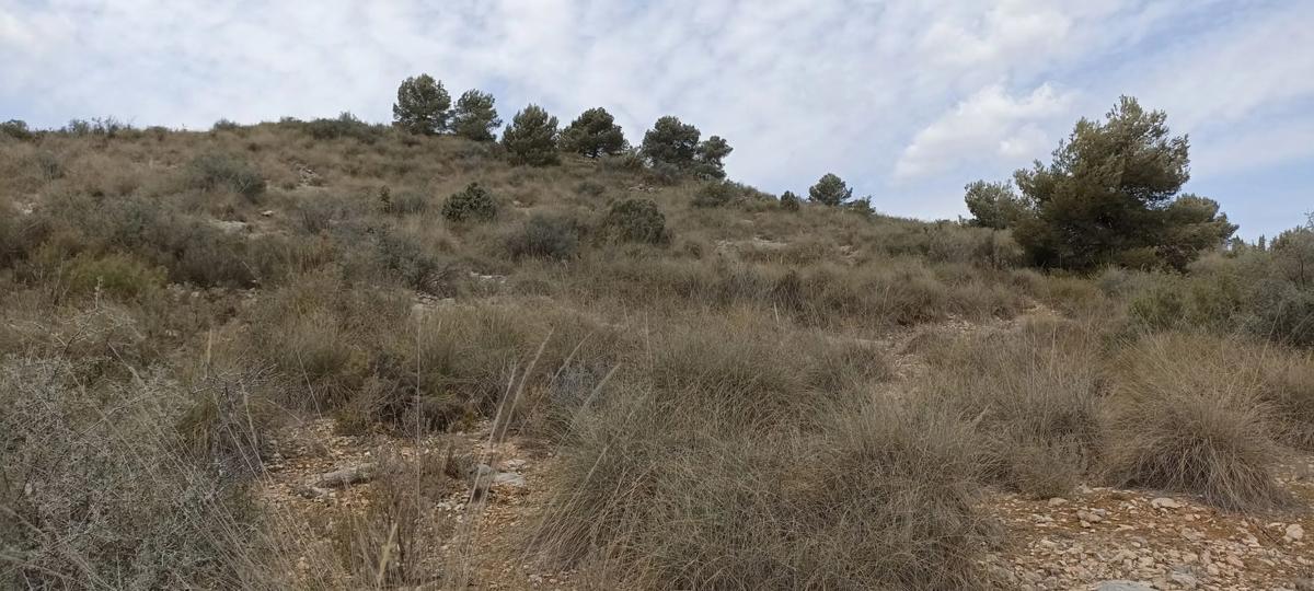 Terreno en venta en Riba-Roja de Túria, Valencia photo 3