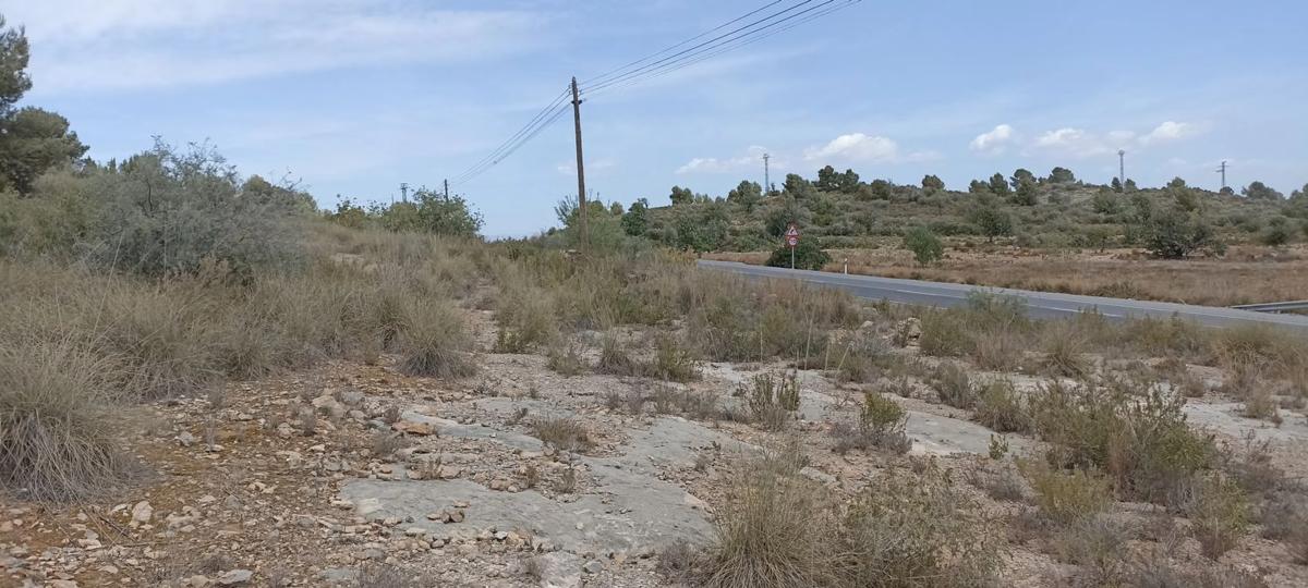 Terreno en venta en Riba-Roja de Túria, Valencia photo 4