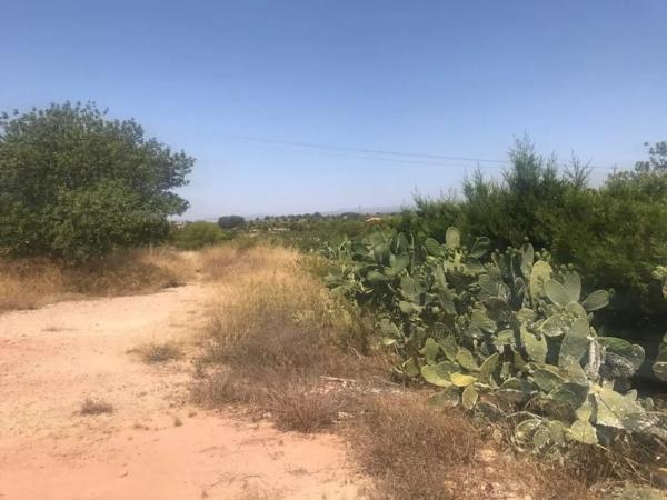 Terreno en Pla dels Aljubs photo 1