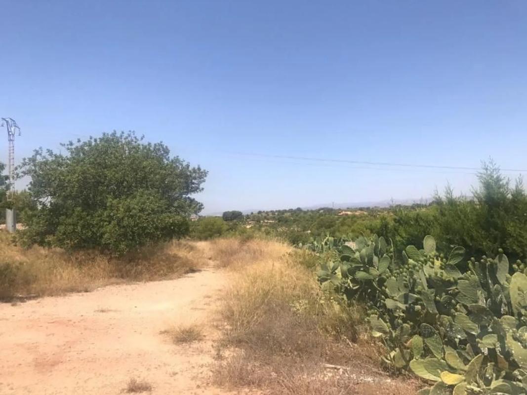 Land for sale in La Pobla de Vallbona, Valencia photo 3