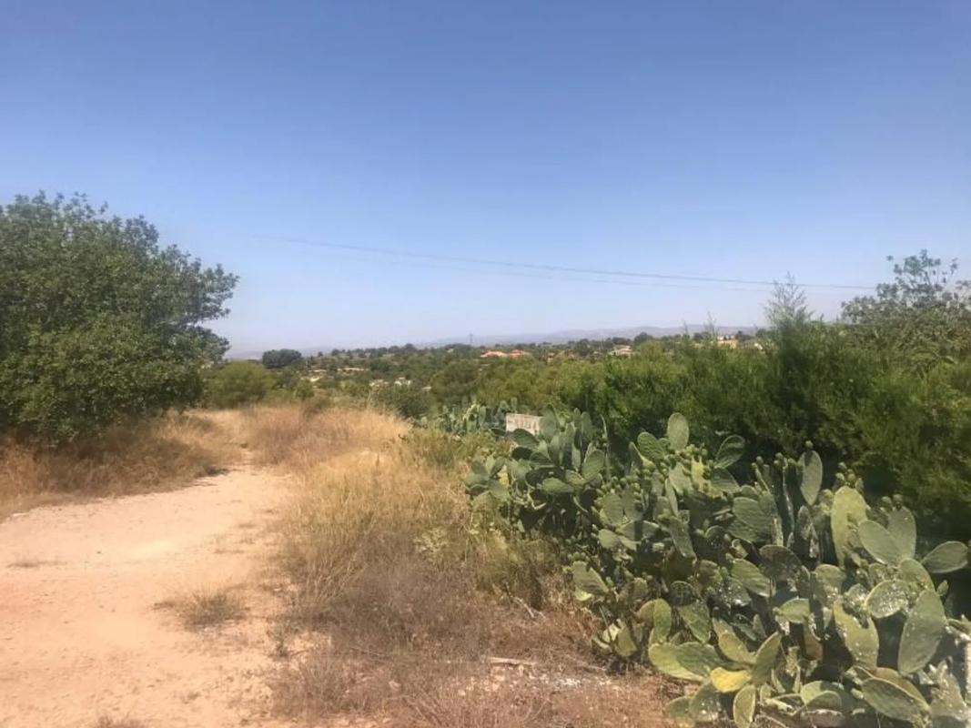 Land for sale in La Pobla de Vallbona, Valencia photo 4