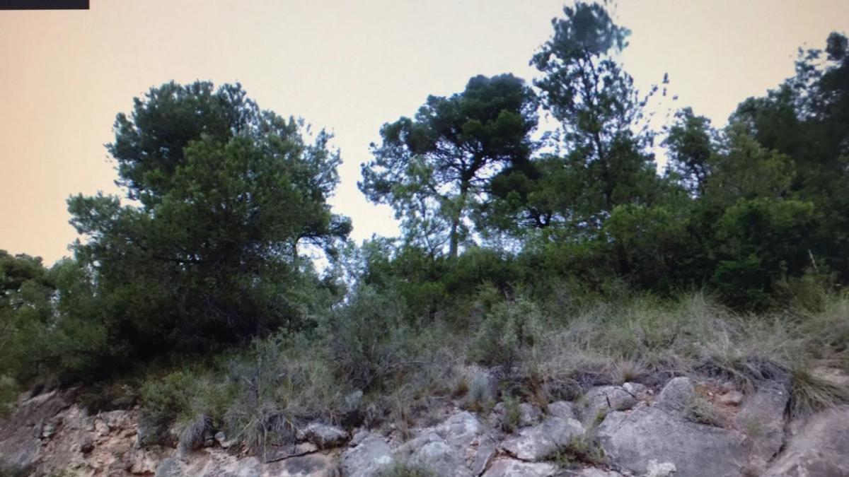 Terreno en venta en Vilamarxant, Valencia photo 1