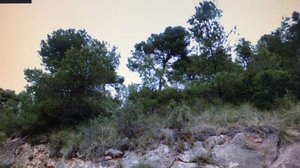Terreno en Vilamarxant photo 1