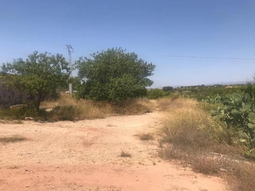 Land for sale in La Pobla de Vallbona, Valencia photo 5