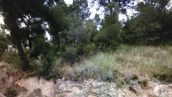 Terreno en Vilamarxant photo 2
