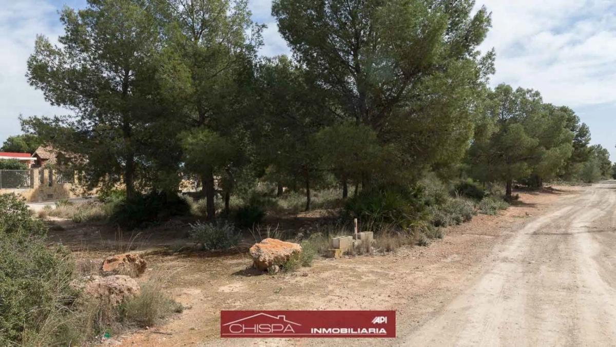 Terreno en venta en Náquera, Valencia photo 2
