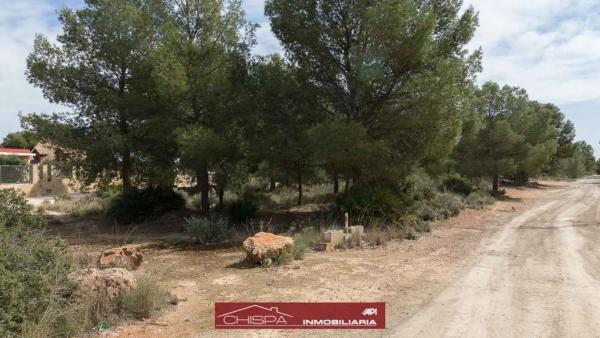 Terreno en Corral Nou - Montros - Estepar photo 2