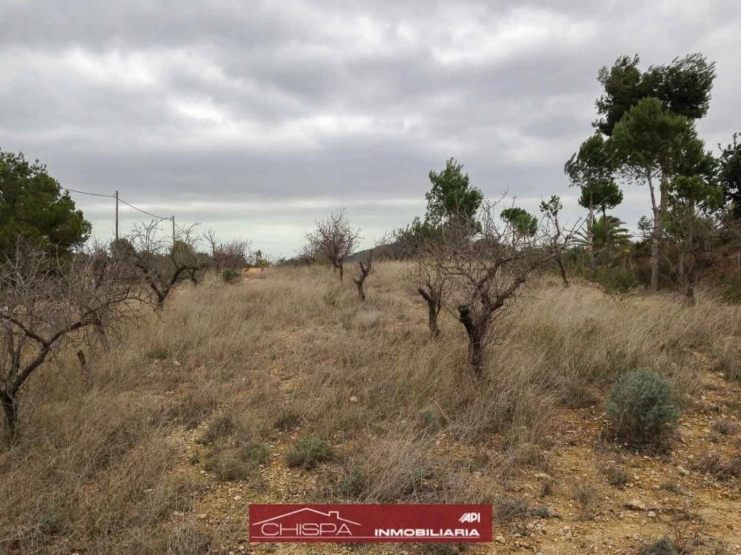 Terreno en venta en Náquera, Valencia photo 2