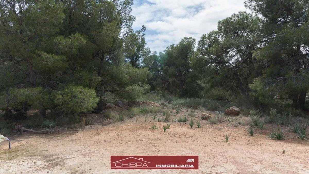 Terreno en venta en Náquera, Valencia photo 3