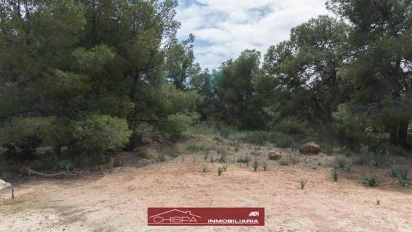 Terreno en Corral Nou - Montros - Estepar photo 3