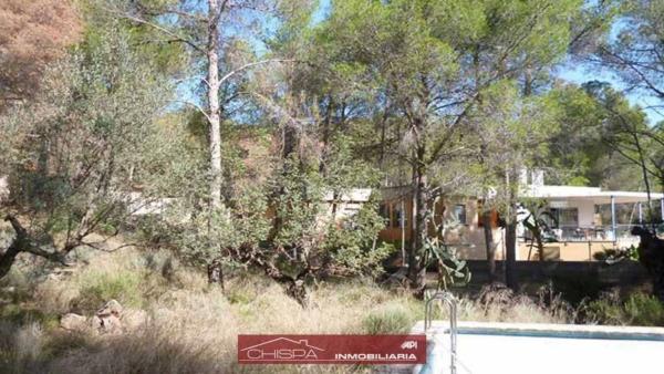 Terreno en Monteamor - La Carrasca - El Peucal photo 4