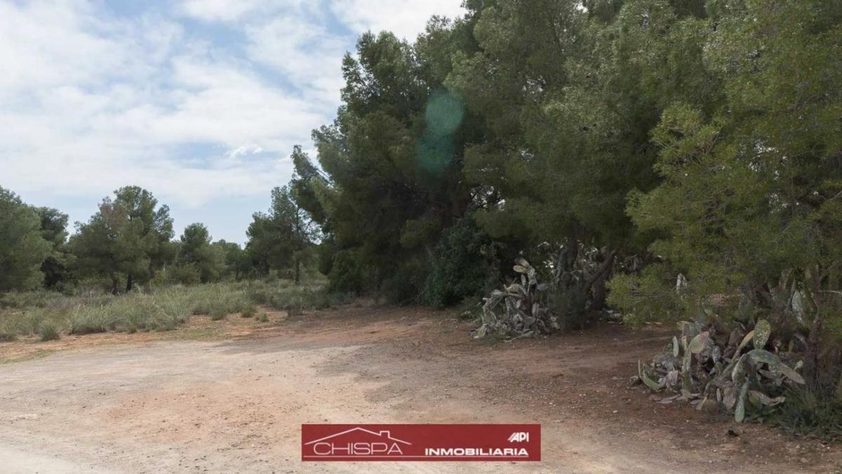 Terreno en venta en Náquera, Valencia photo 5