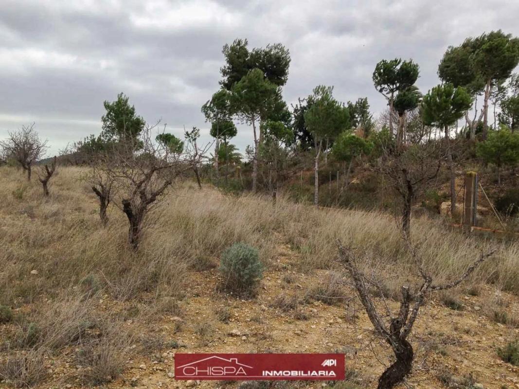 Terreno en venta en Náquera, Valencia photo 5