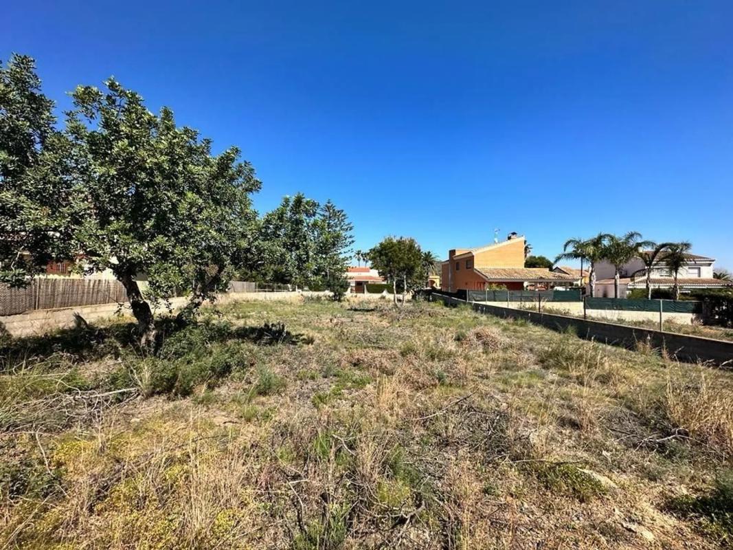 Land for sale in Náquera, Valencia photo 3