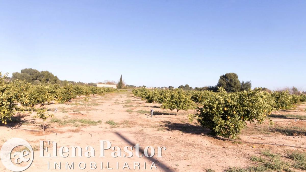 Terreno en venta en Bétera, Valencia photo 3