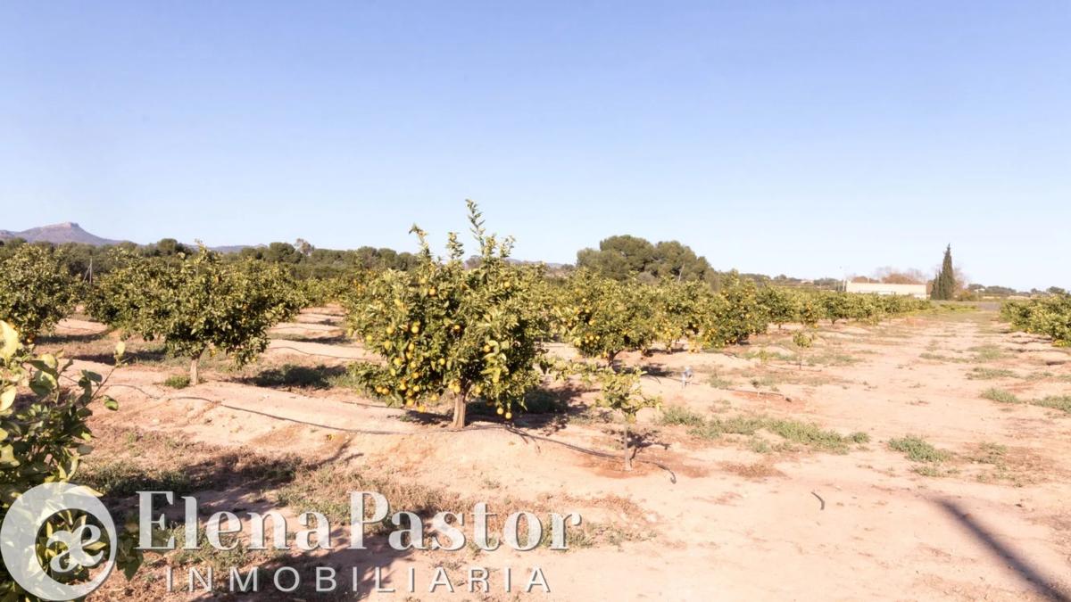 Terreno en venta en Bétera, Valencia photo 4