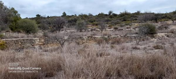 Terreno en Partida corral de rey s/n photo 2