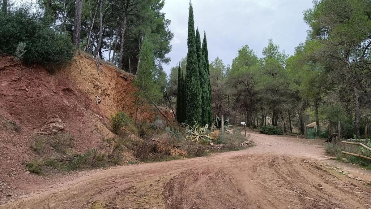 Terreno en venta en Náquera, Valencia photo 2
