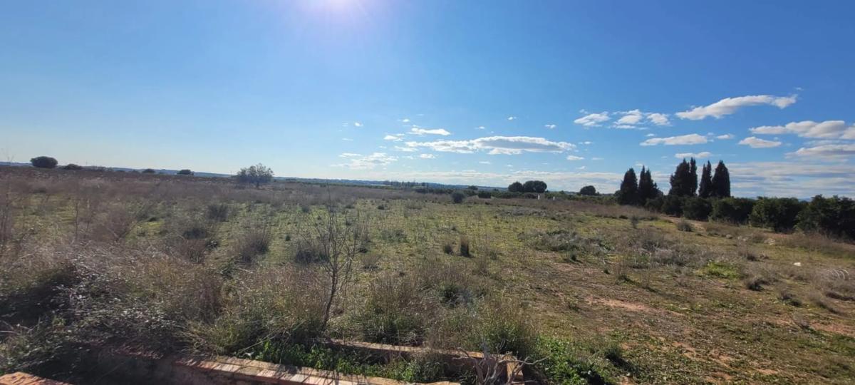 Terreno en venta en Bétera, Valencia photo 1