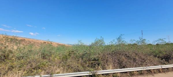 Terreno en plaza Poligono N-54.R photo 1