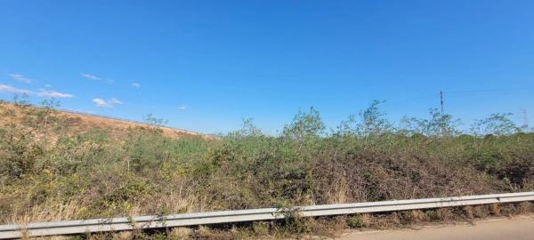 Terreno en plaza Poligono N-54.R thumbnail 2