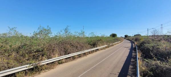 Terreno en plaza Poligono N-54.R photo 4