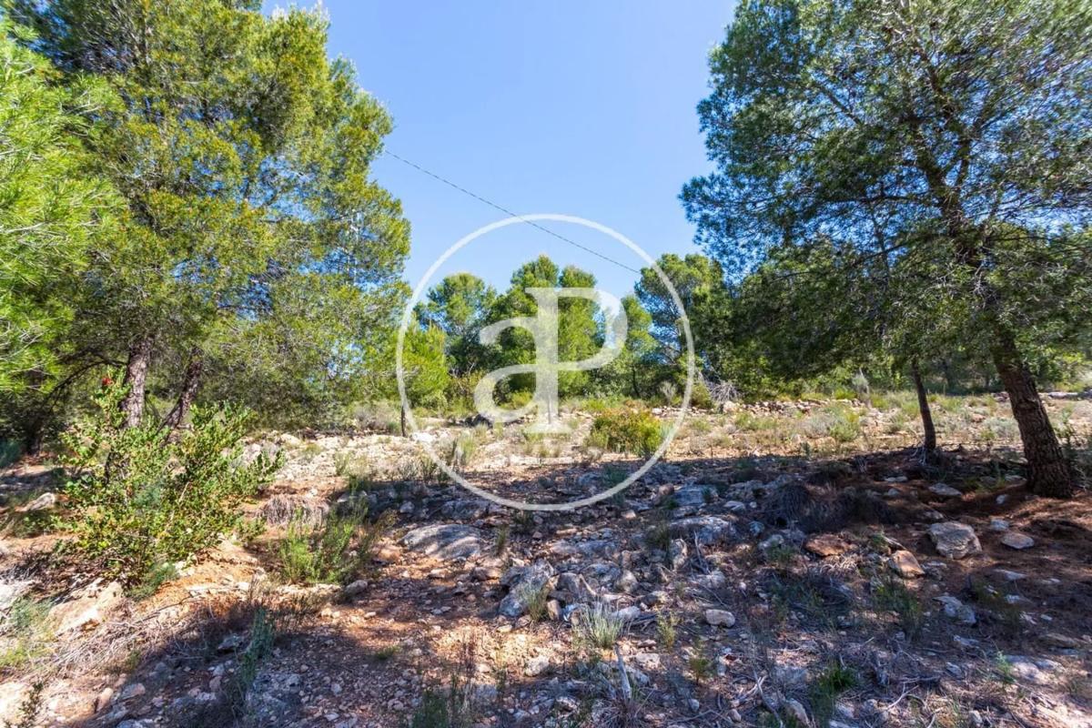 Terreno en venta en Olocau, Valencia photo 1