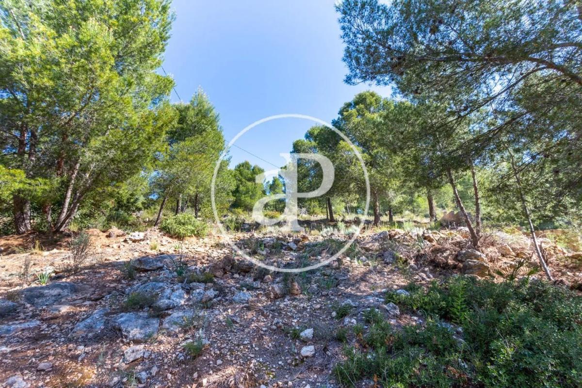 Terreno en venta en Olocau, Valencia photo 2
