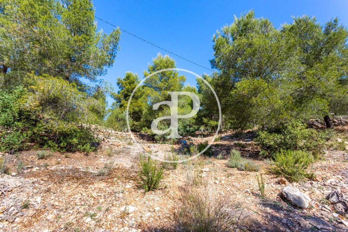 Terreno en venta en Olocau, Valencia photo 4