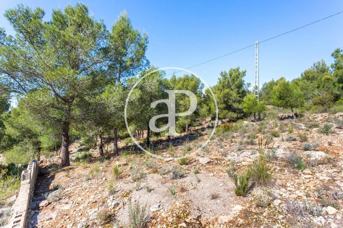 Terreno en venta en Olocau, Valencia photo 5