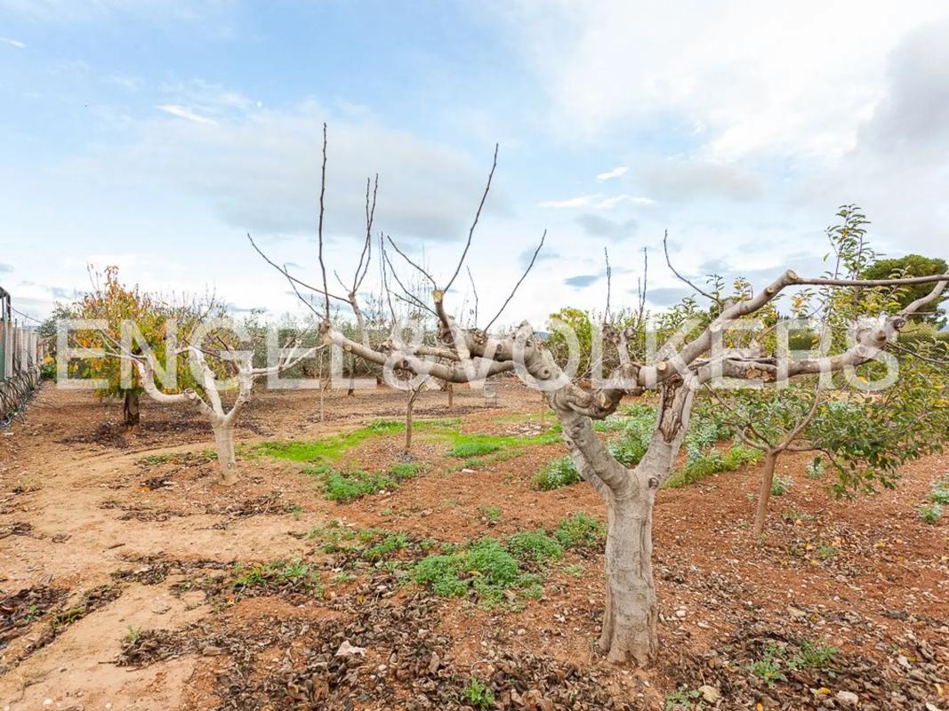 Land for sale in Llíria, Valencia photo 3