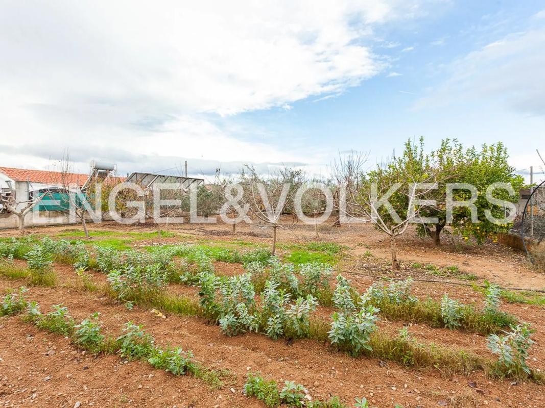 Land for sale in Llíria, Valencia photo 4