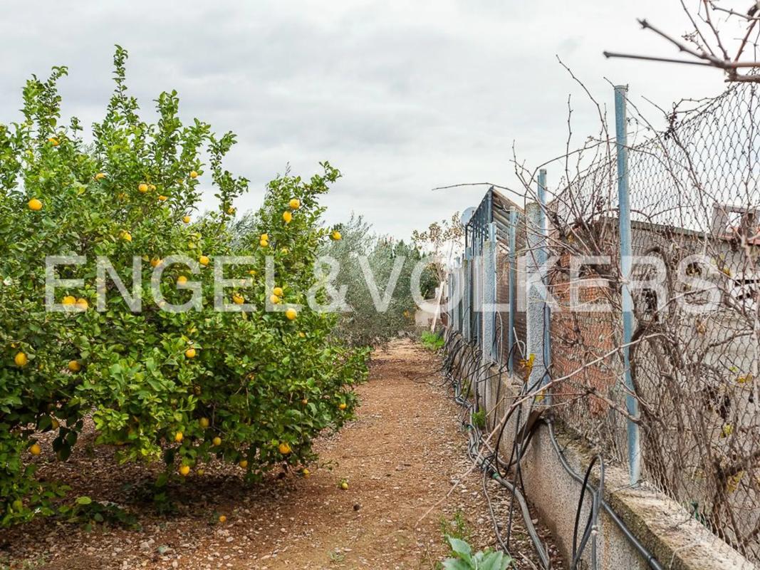 Land for sale in Llíria, Valencia photo 5