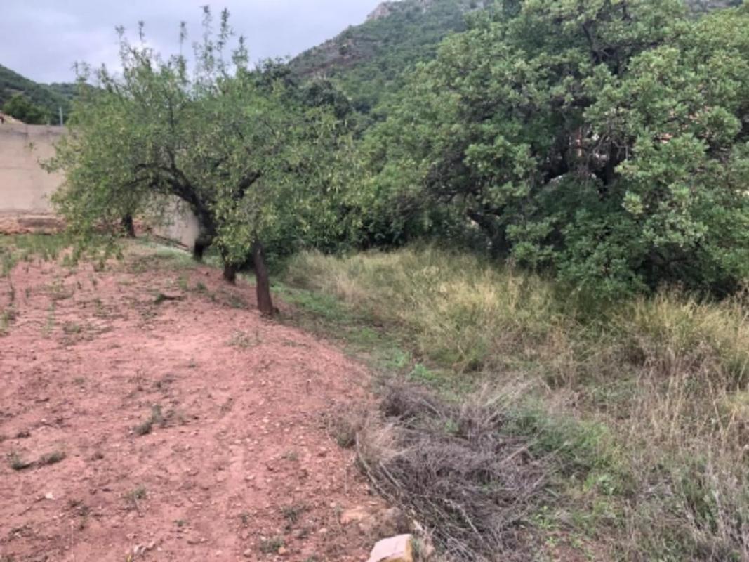 Land for sale in Serra, Valencia photo 1