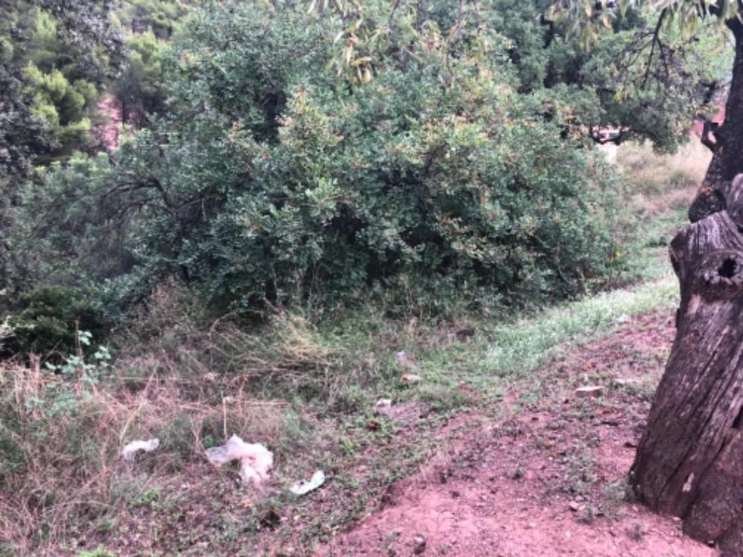 Land for sale in Serra, Valencia photo 2