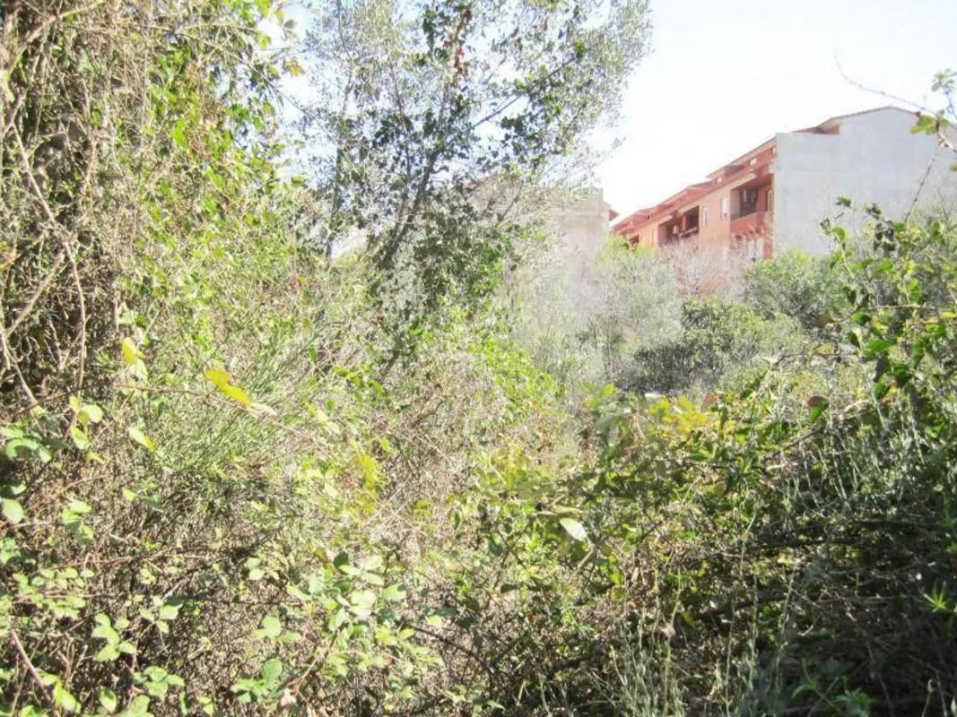 Land for sale in Serra, Valencia photo 4