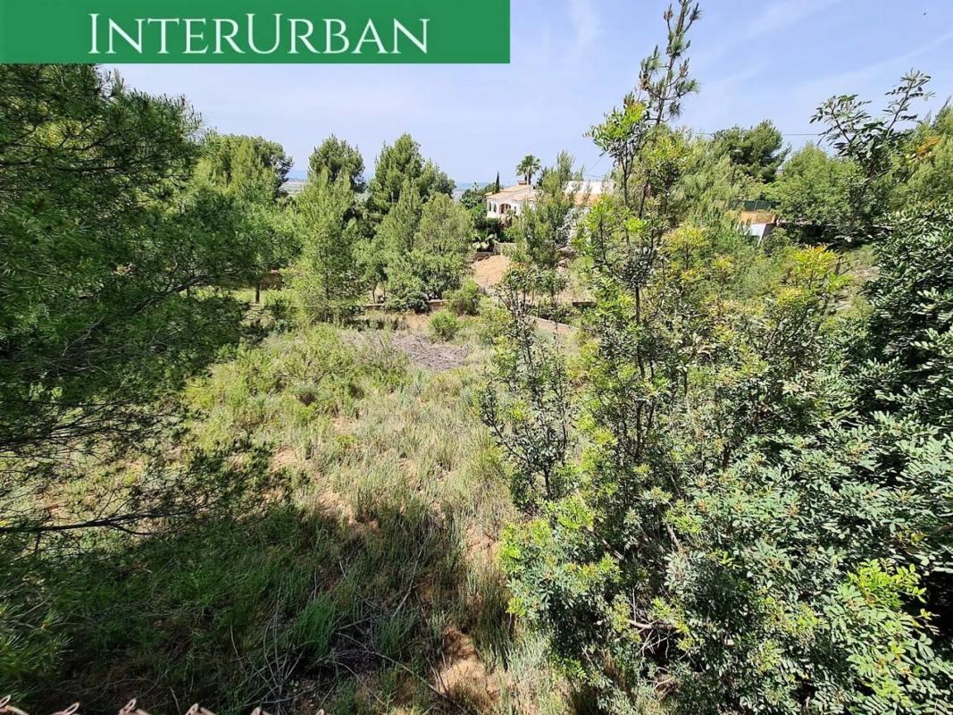 Terreno en venta en Olocau, Valencia photo 3