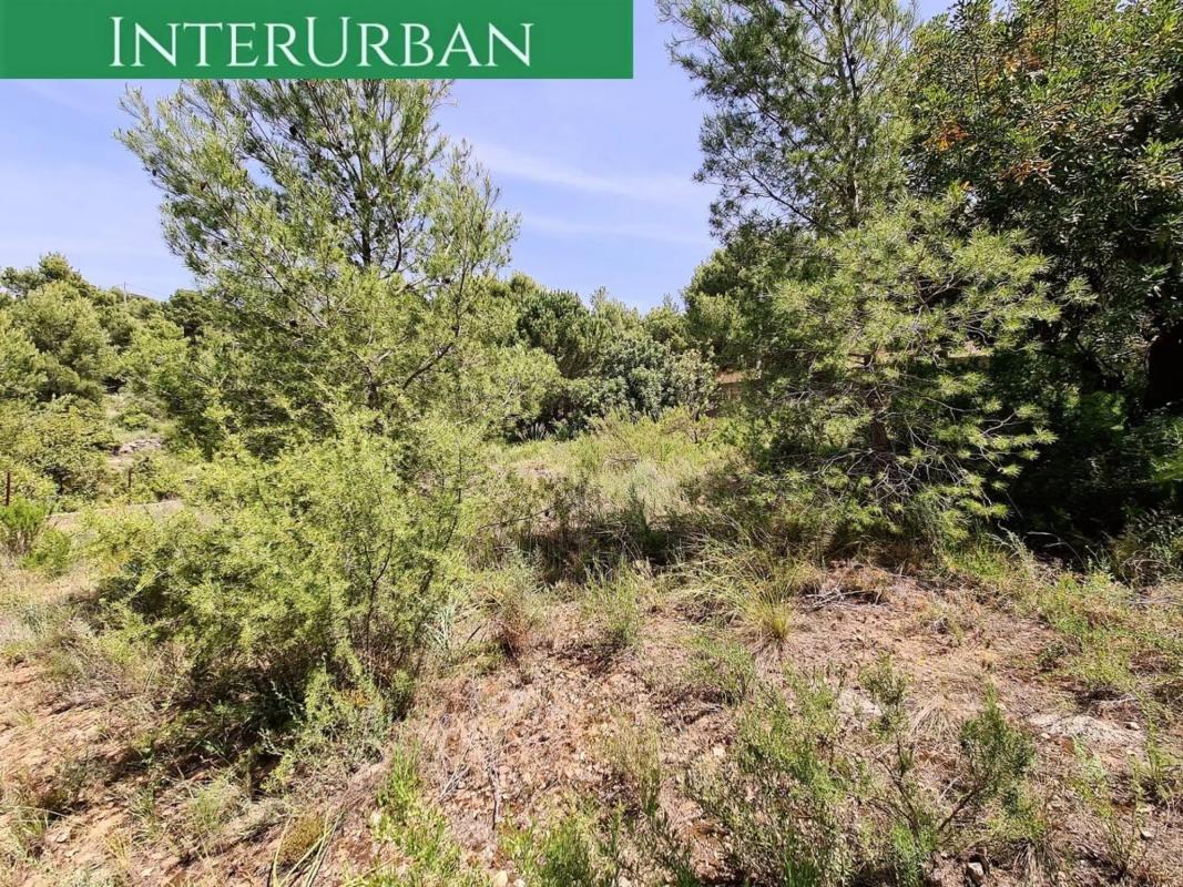 Terreno en venta en Olocau, Valencia photo 4