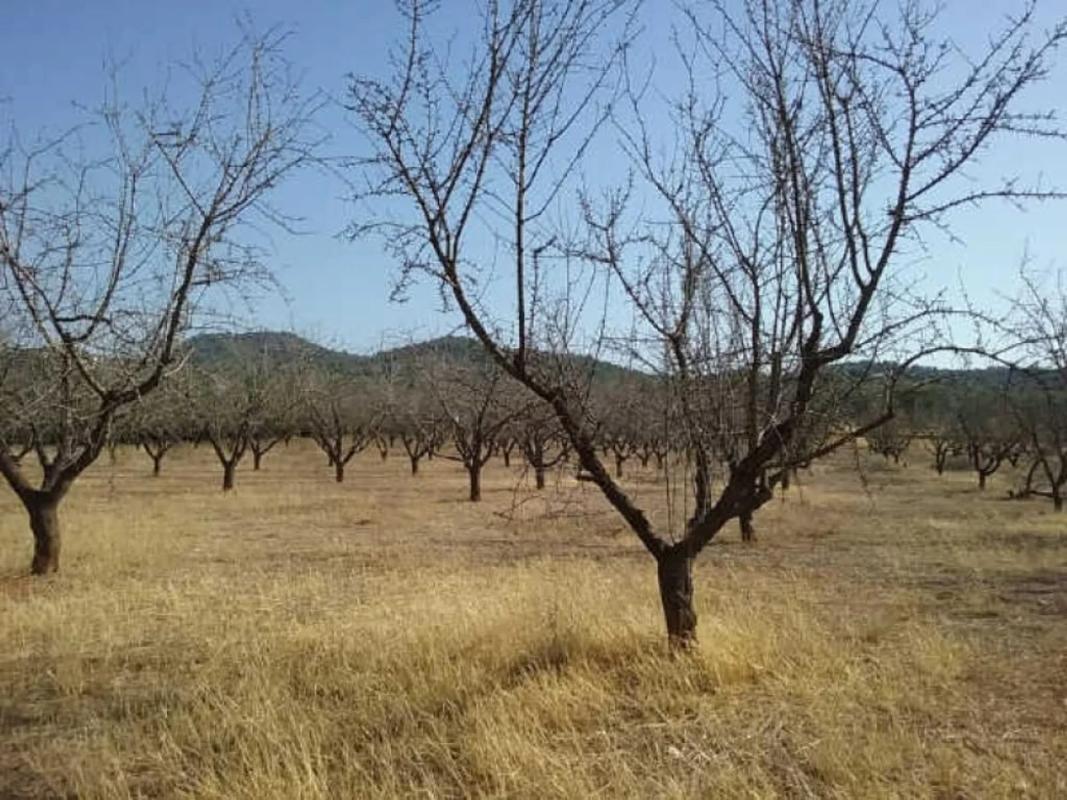 Terreno en venta en Vilamarxant, Valencia photo 3