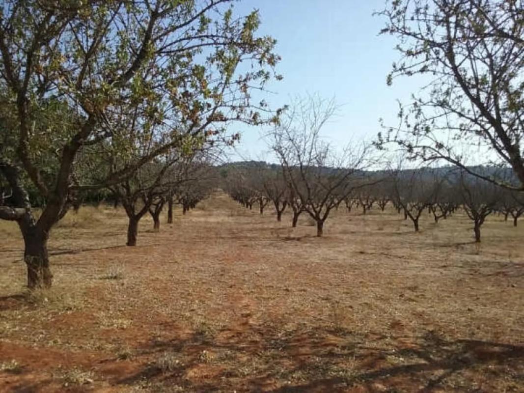 Terreno en venta en Vilamarxant, Valencia photo 4