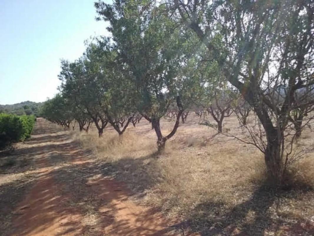 Terreno en venta en Vilamarxant, Valencia photo 5