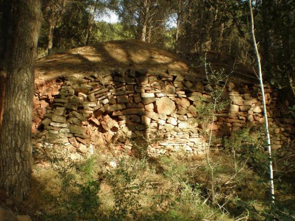 Terreno en camino Portichol s/n photo 4