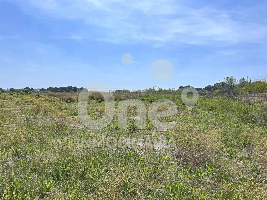 Terreno en venta en Bétera, Valencia photo 3