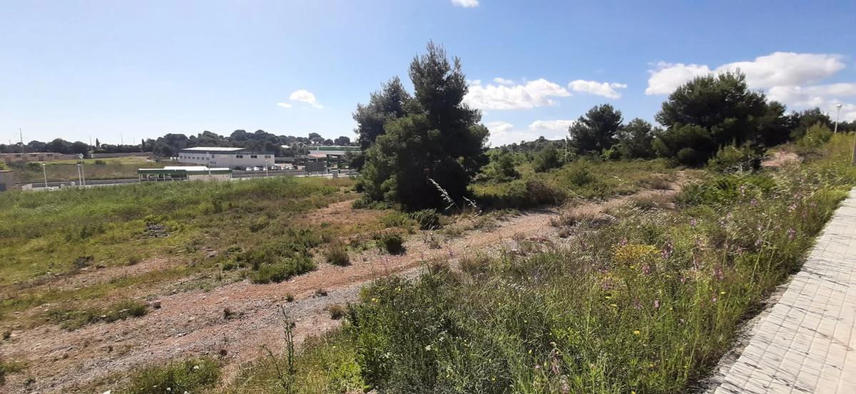 Terreno en venta en Bétera, Valencia photo 3