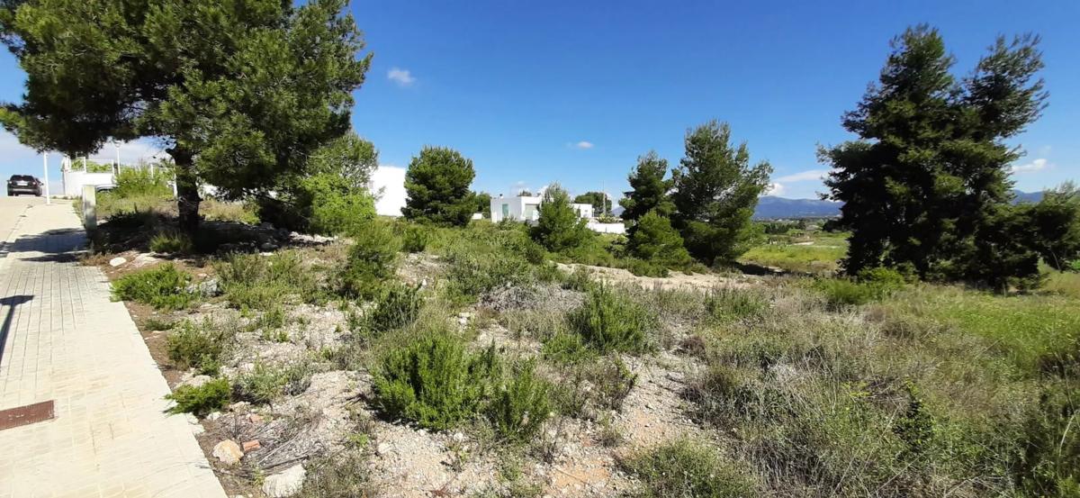 Terreno en venta en Bétera, Valencia photo 4