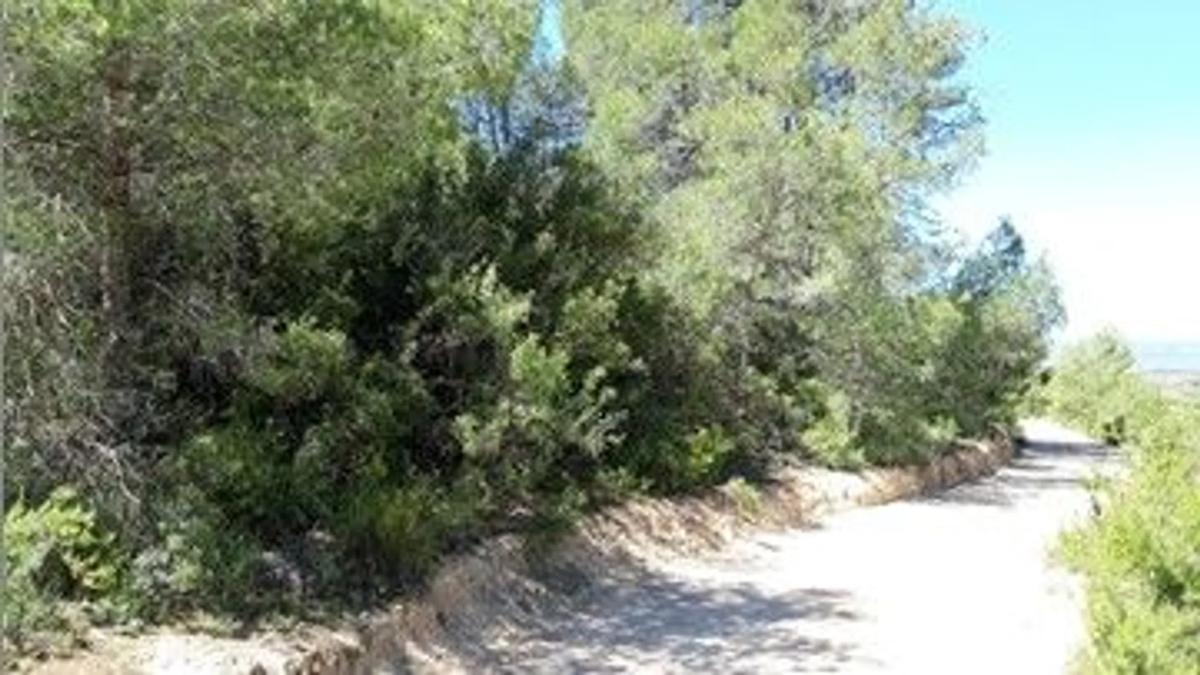 Terreno en venta en Vilamarxant, Valencia photo 2