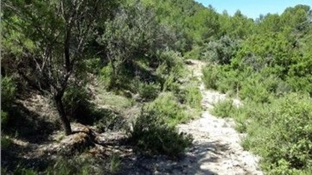 Terreno en venta en Vilamarxant, Valencia photo 3