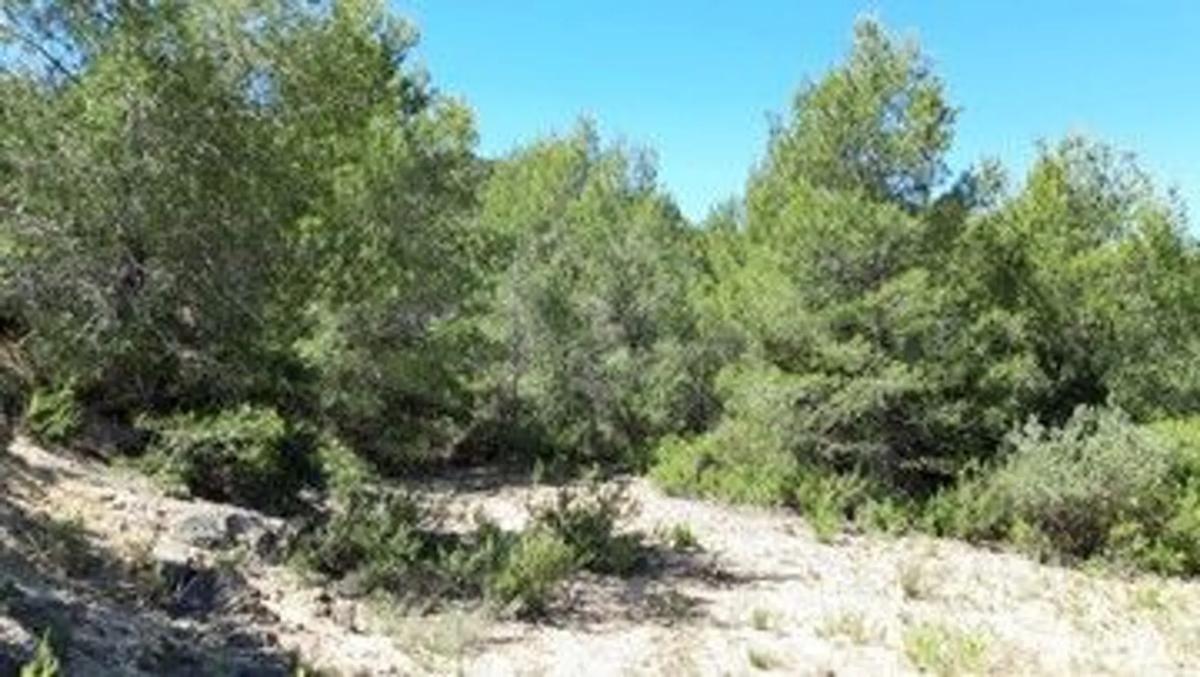 Terreno en venta en Vilamarxant, Valencia photo 5