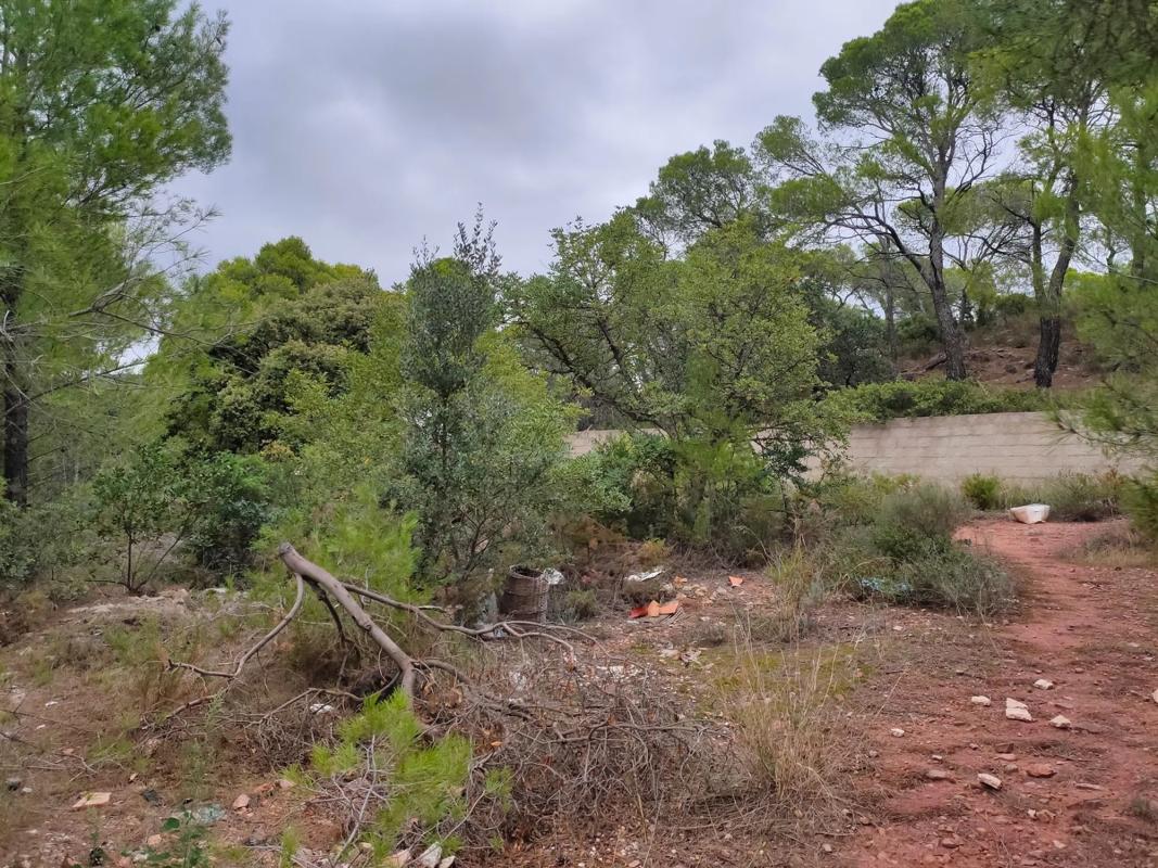 Terreno en venta en Serra, Valencia photo 1